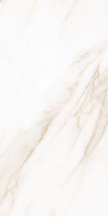 Classy Warm White Matte 12 x 24